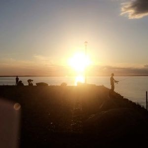 Meet your Posher, Sadie